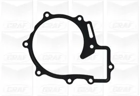 PA1197 Graf Насос водяной