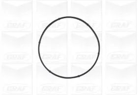 PA940 Graf Насос водяной