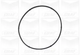 PA541A Graf Насос водяной