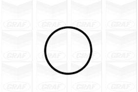 PA1041 Graf Насос водяной