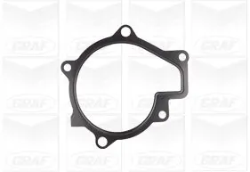 PA1174 Graf Насос водяной