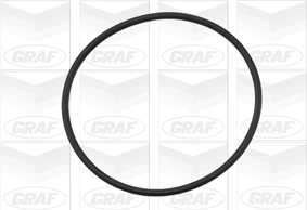 Водяной насос Рено Лагуна I