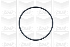 PA424 Graf Насос водяной