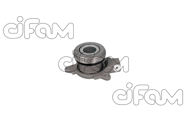 506029 Cifam