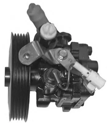 4940403 Lizarte ГУР руля