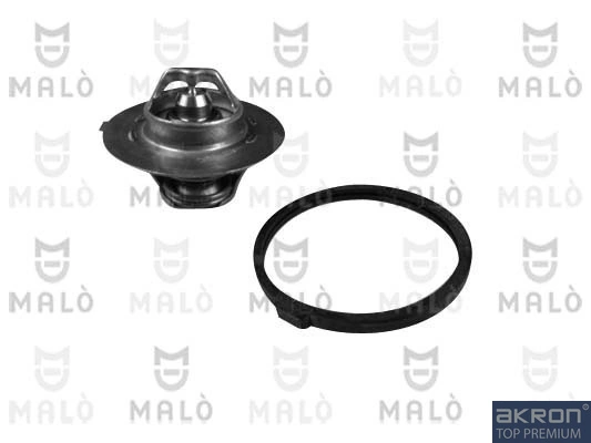 Termostato Peugeot 505 551A