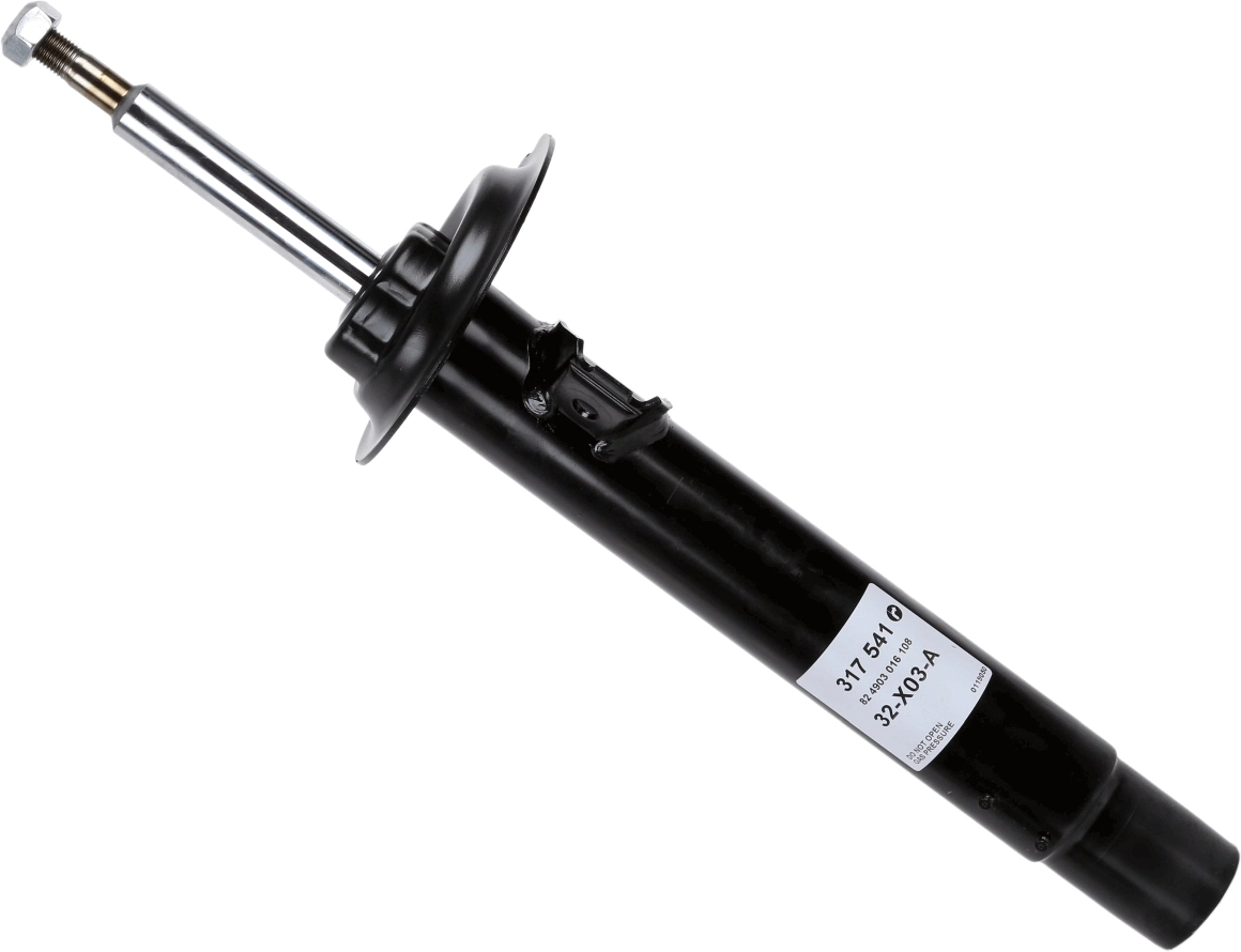 317541 Sachs