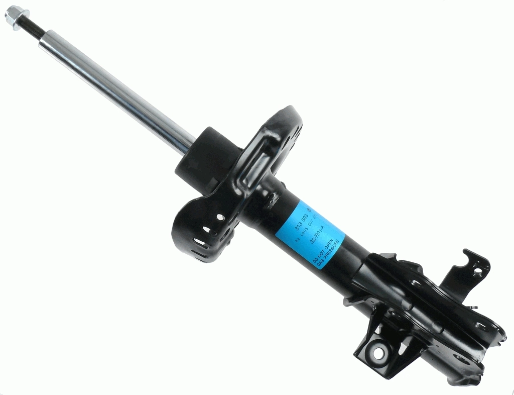 313593 Sachs