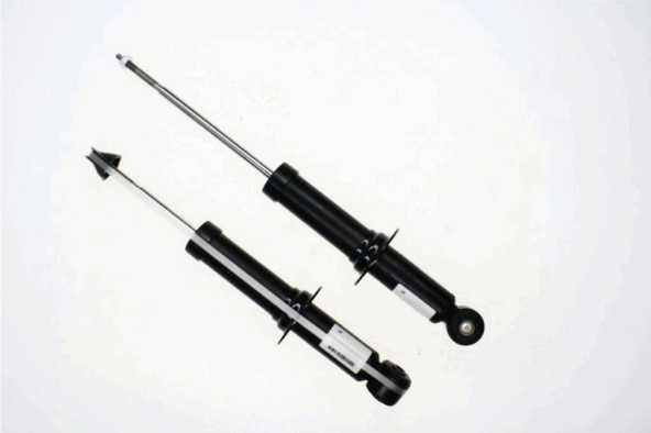 312986 Sachs