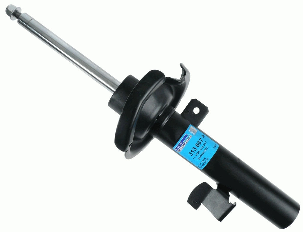 313667 Sachs