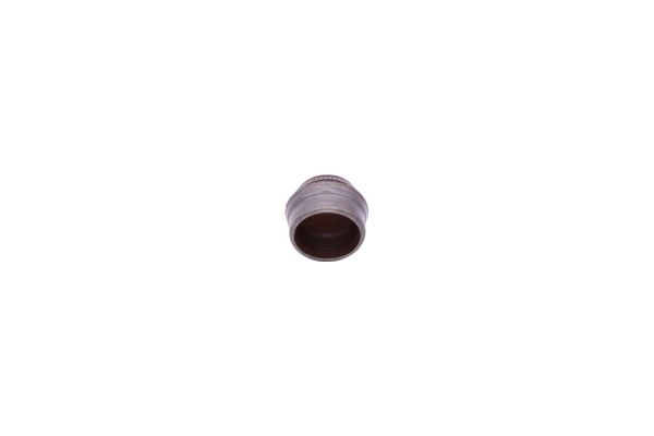 Маслосъемный сальник клапана впуск/выпуск Dello/Automega 190015110 цена, от 0.49 USD