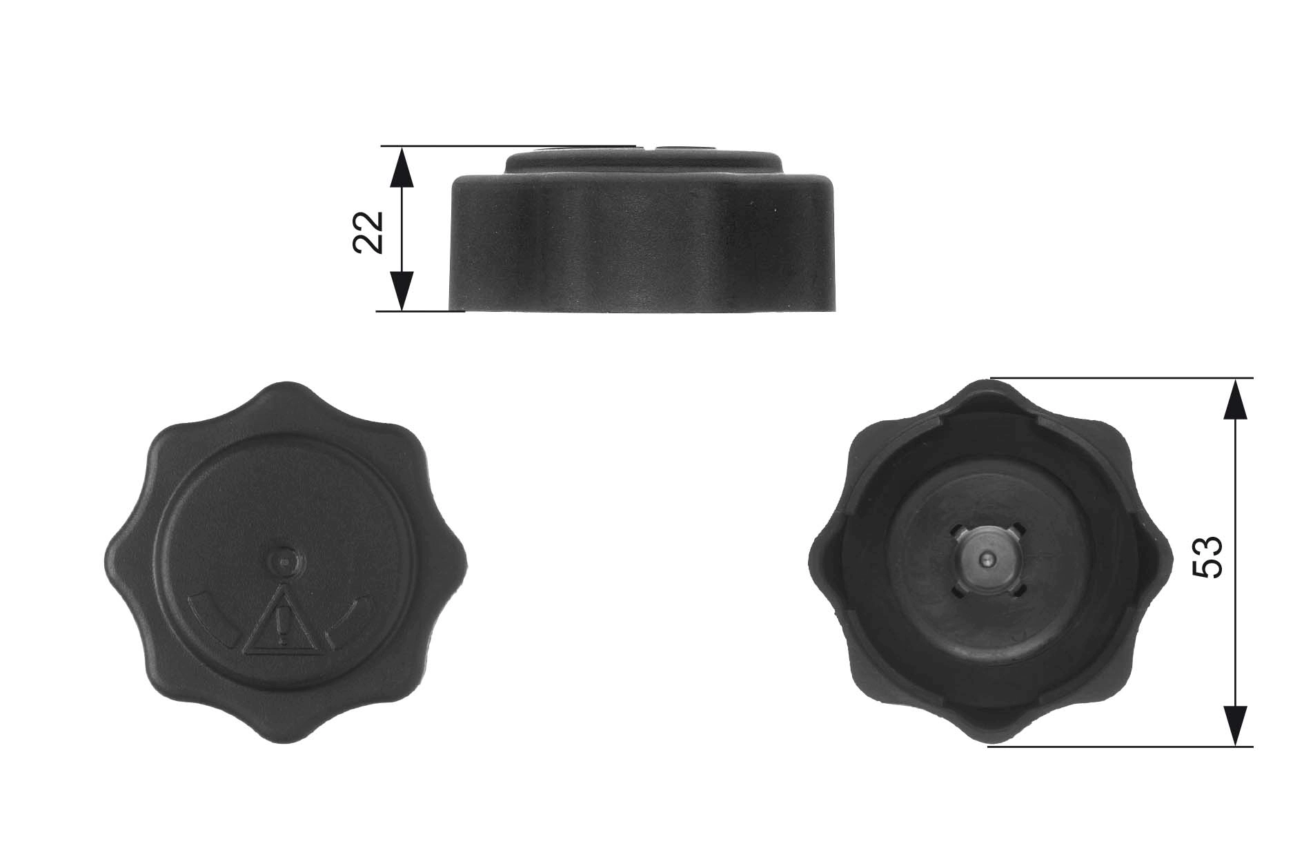 RC229 Gates