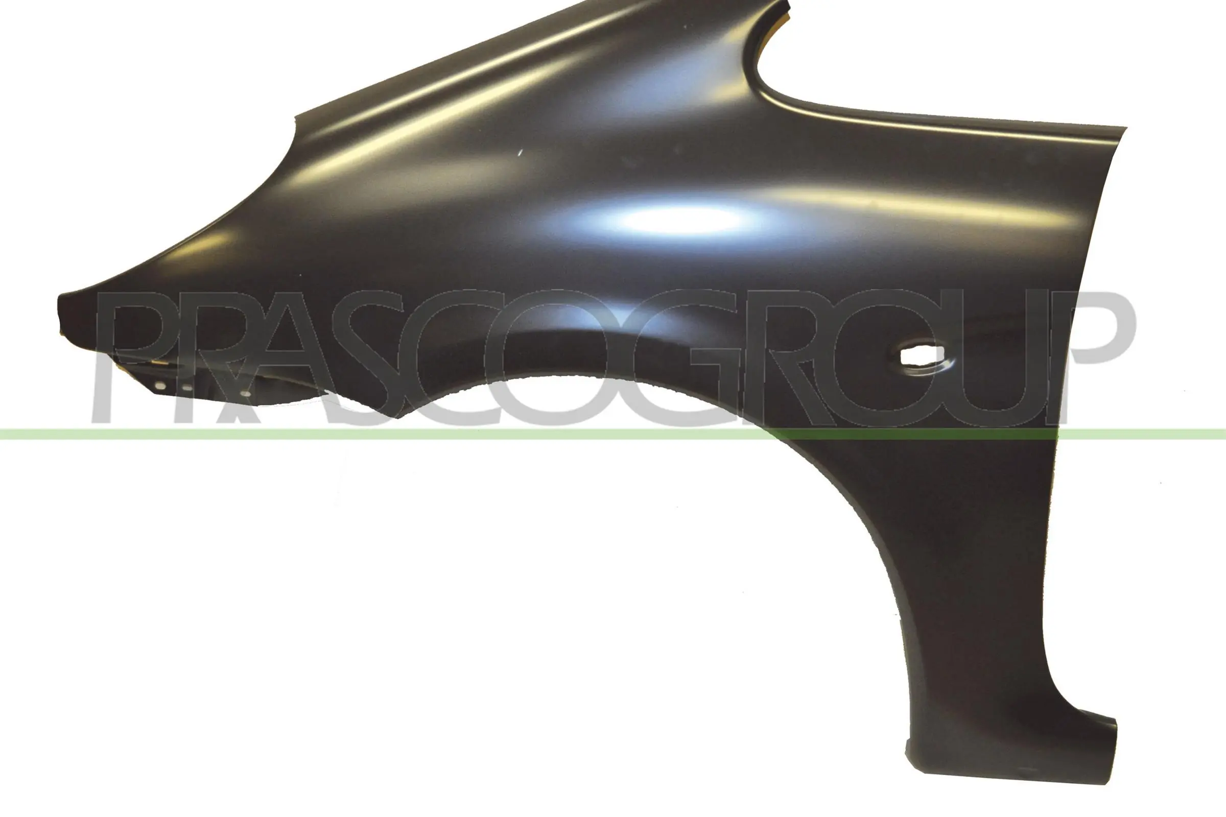 Pára-lama dianteiro esquerdo Citroen Xsara N68