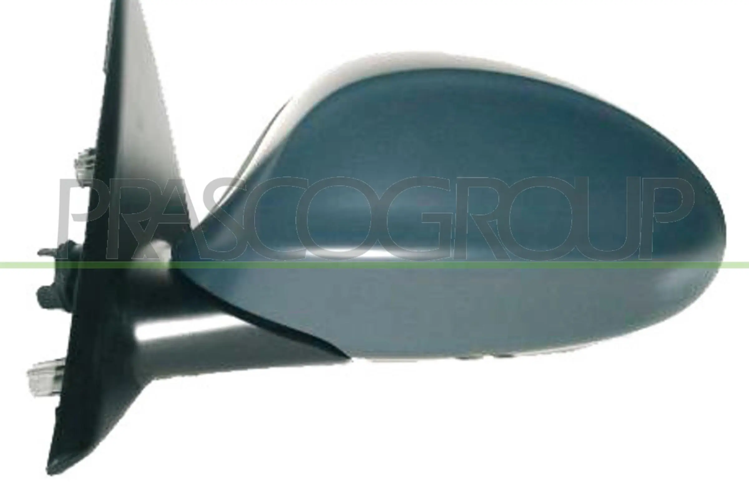 BM0247304 Prasco