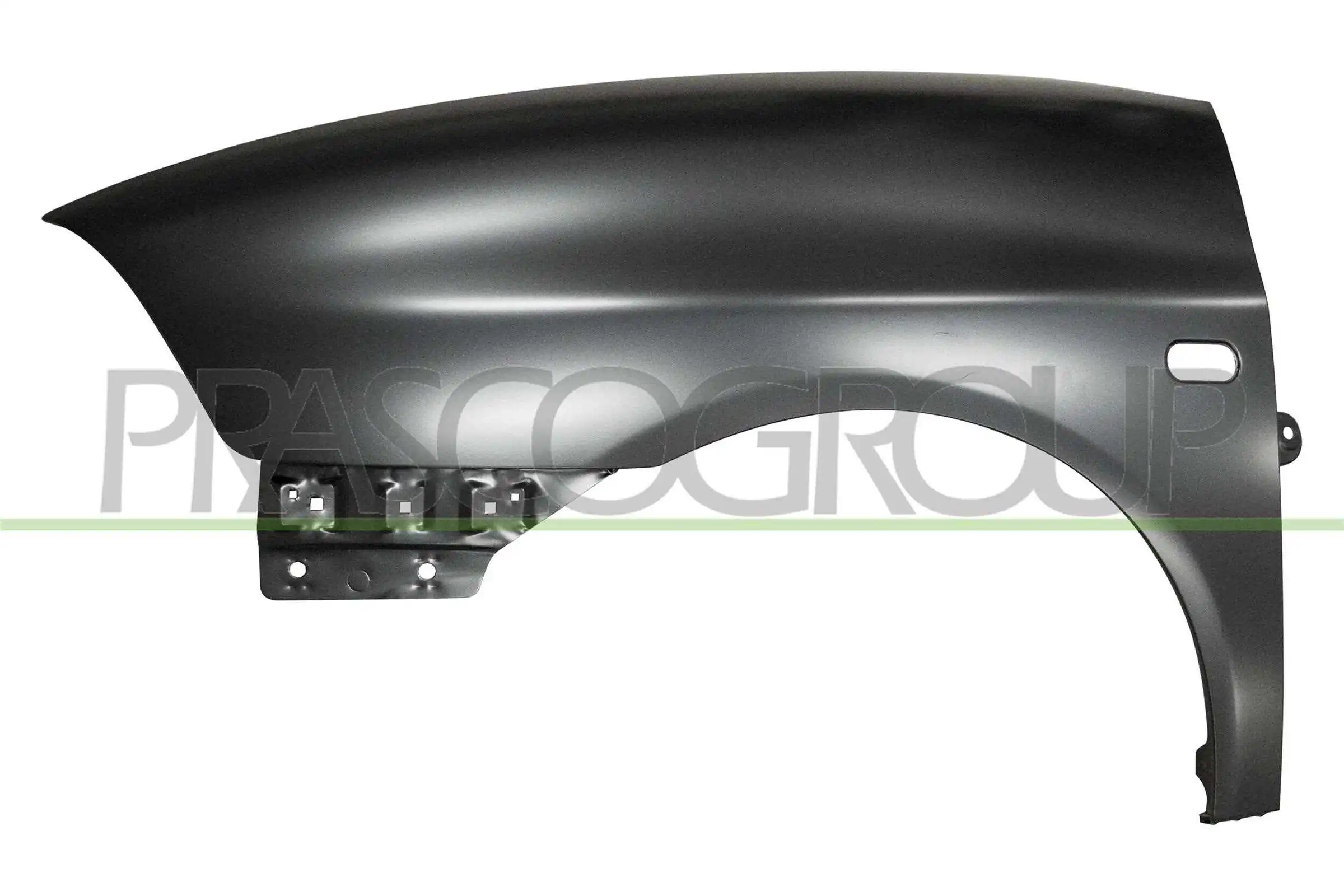 Pára-lama dianteiro esquerdo para Seat Ibiza III 6L1