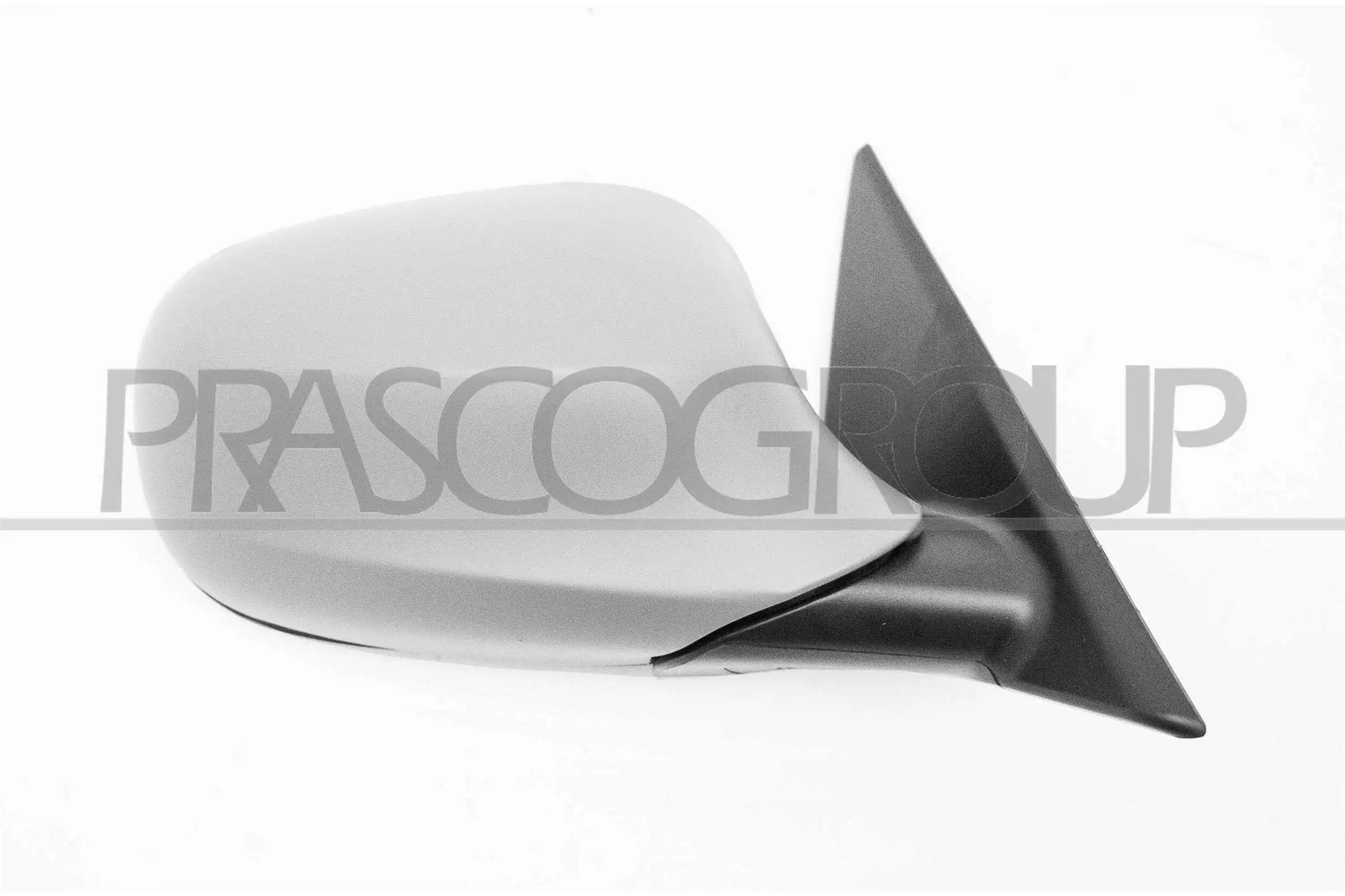 BM0267313 Prasco