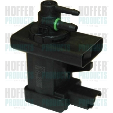 8029195 Hoffer