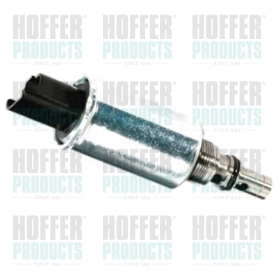 8029123 Hoffer