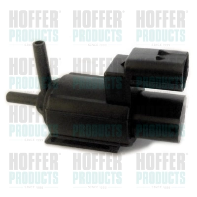 8029446 Hoffer