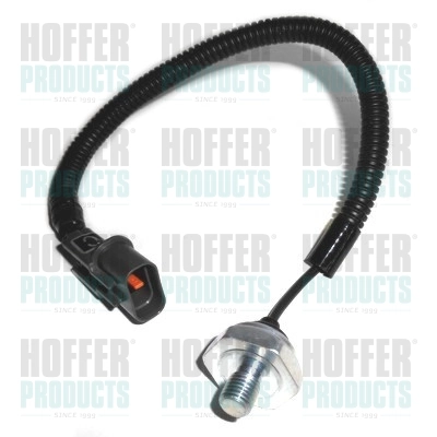 7517643 Hoffer