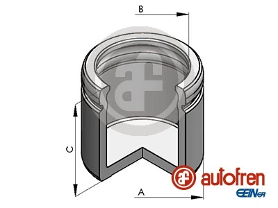 D025491 Autofren
