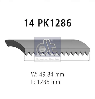 Correia dos conjuntos de transmissão MAN TGX 1