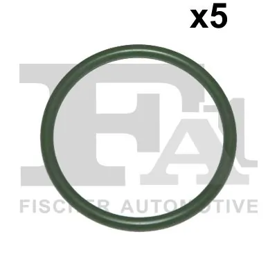 479416005 FA1