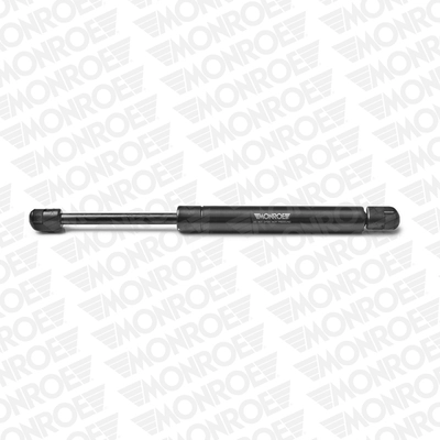 Amortecedor da capota BMW 1  F21