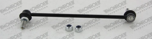 RL959520G Raiso Тяжка стабилизатора, переднего, правая