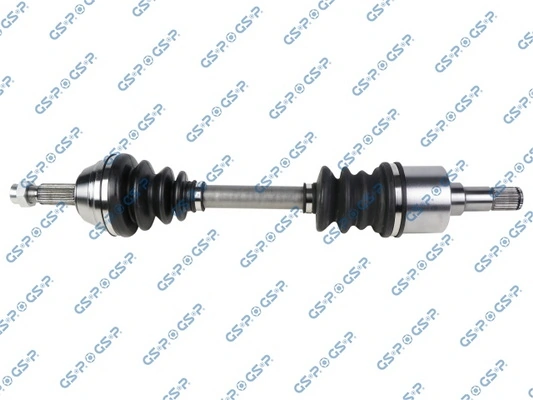218038 GSP