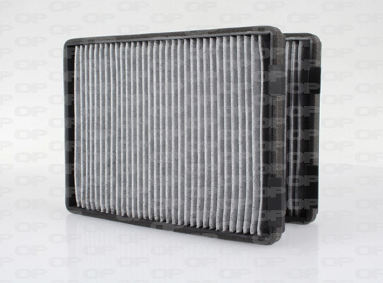 CAF209302 Open Parts
