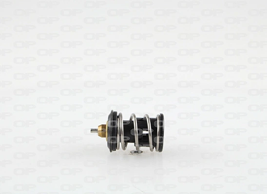 Termostato Volkswagen Polo 6 AW1, BZ1, AE1