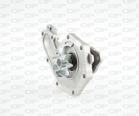 Bomba de água (bomba) de esfriamento Renault 21 S48