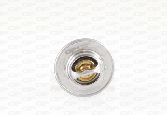 Termostato Audi A6 4A5