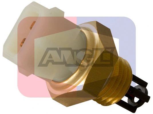 19016 Angli