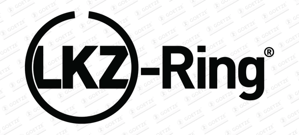 0843910010 Goetze Поршневые кольца на 1 цилиндр, STD