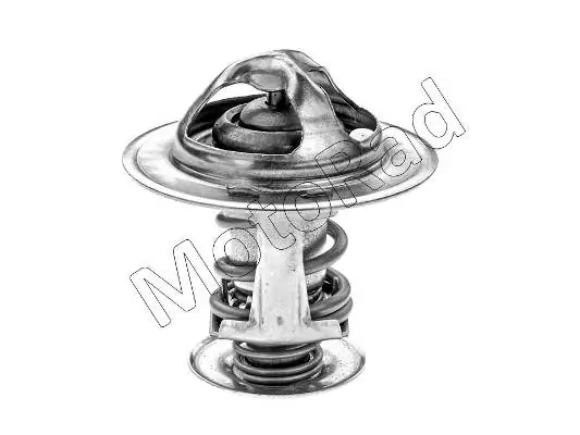 Termostato Nissan Primera P10