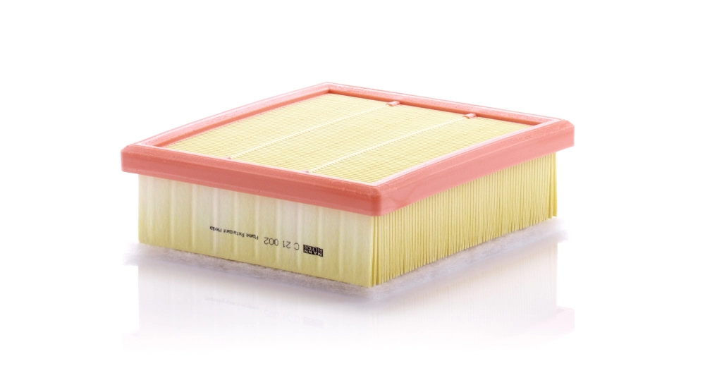 C21002 Mann-Filter