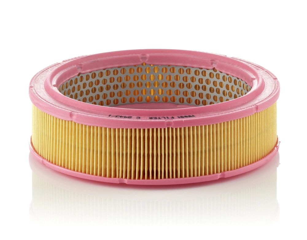 C24431 Mann-Filter