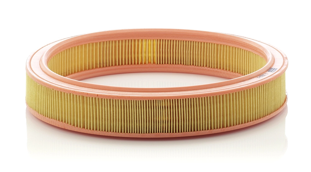 Filtro de ar Ford Escort '91 EXPRESS AVL