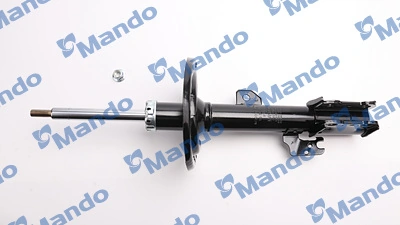 RS339282 Raiso Амортизатор передний левый