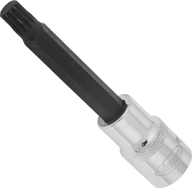 V2113 Vignal 