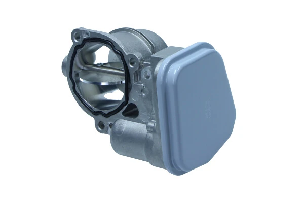 Válvula de borboleta montada BMW X5 E53