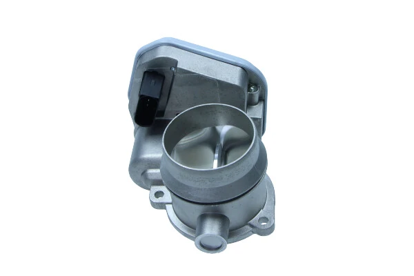 Válvula de borboleta montada BMW X5 E53