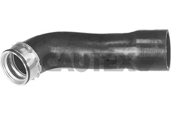 206033 Cautex