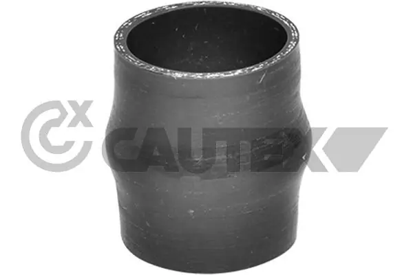 036713 Cautex