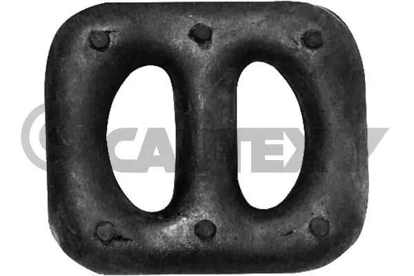 480113 Cautex