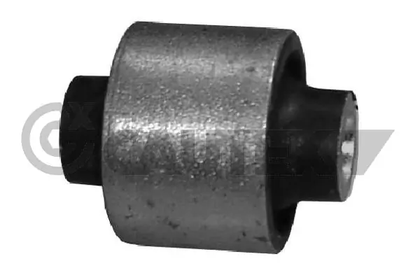 200927 Cautex
