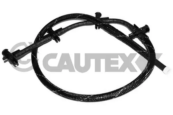 757304 Cautex