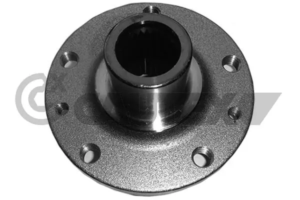 Cubo dianteiro Renault Kangoo 2 FW0